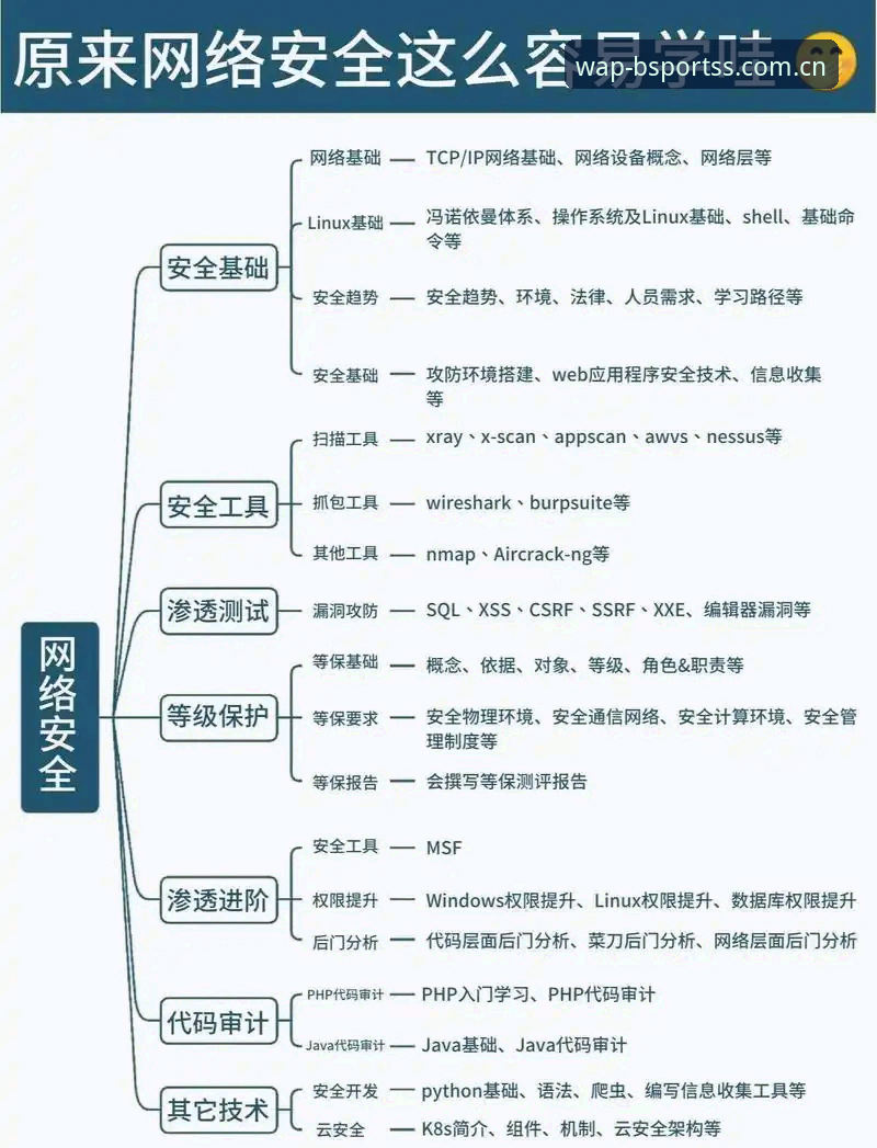 BSport高速稳定最新版深度解析：从入门到精通的全方位体验指南