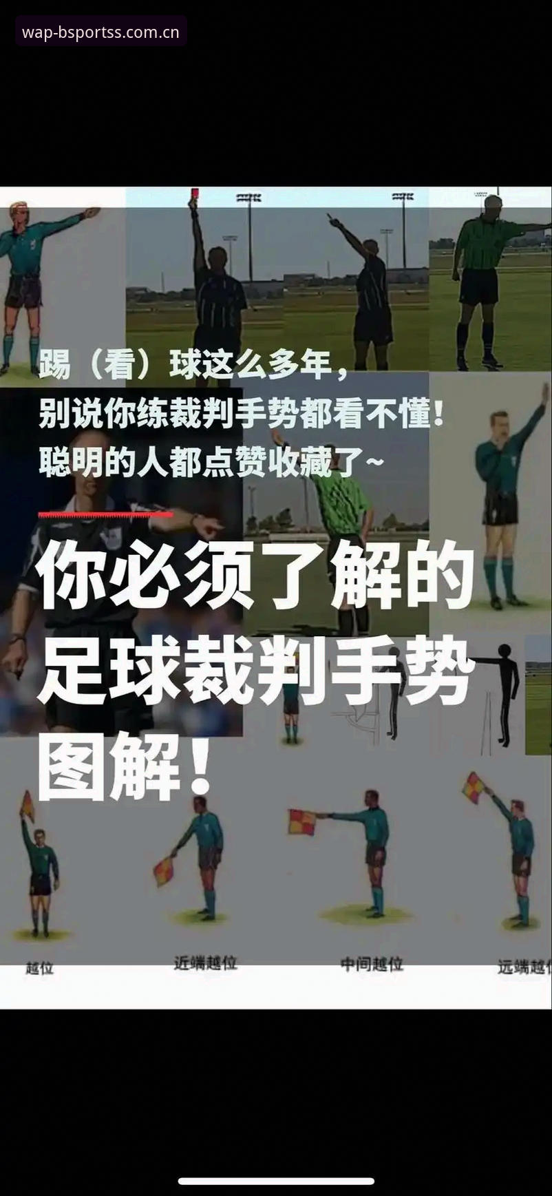 世界杯观赛受阻？Bsports体育手把手教你应对签证困局的操作教程